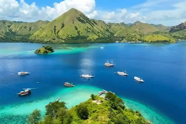Amazing Komodo LiveOnBoard 2D1N